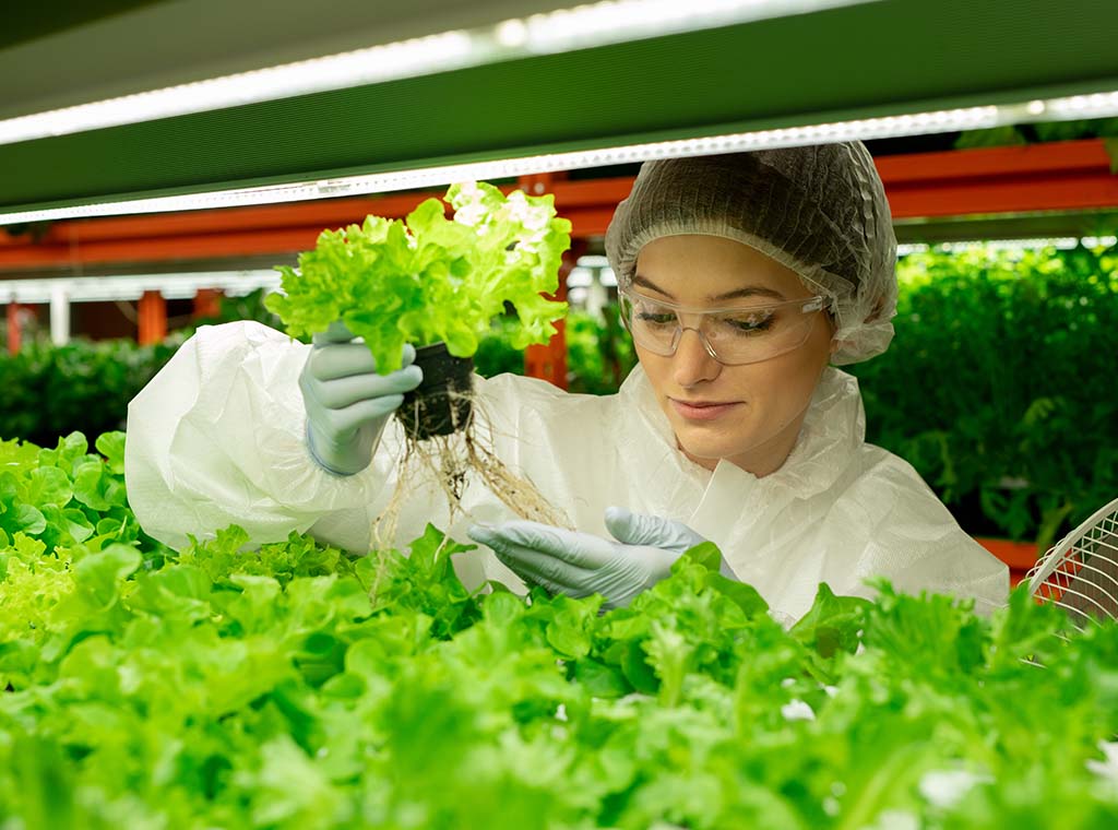 Certificate In Horticulture (Horticultural Technology)
