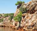 Ecotourism