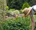 Horticulture