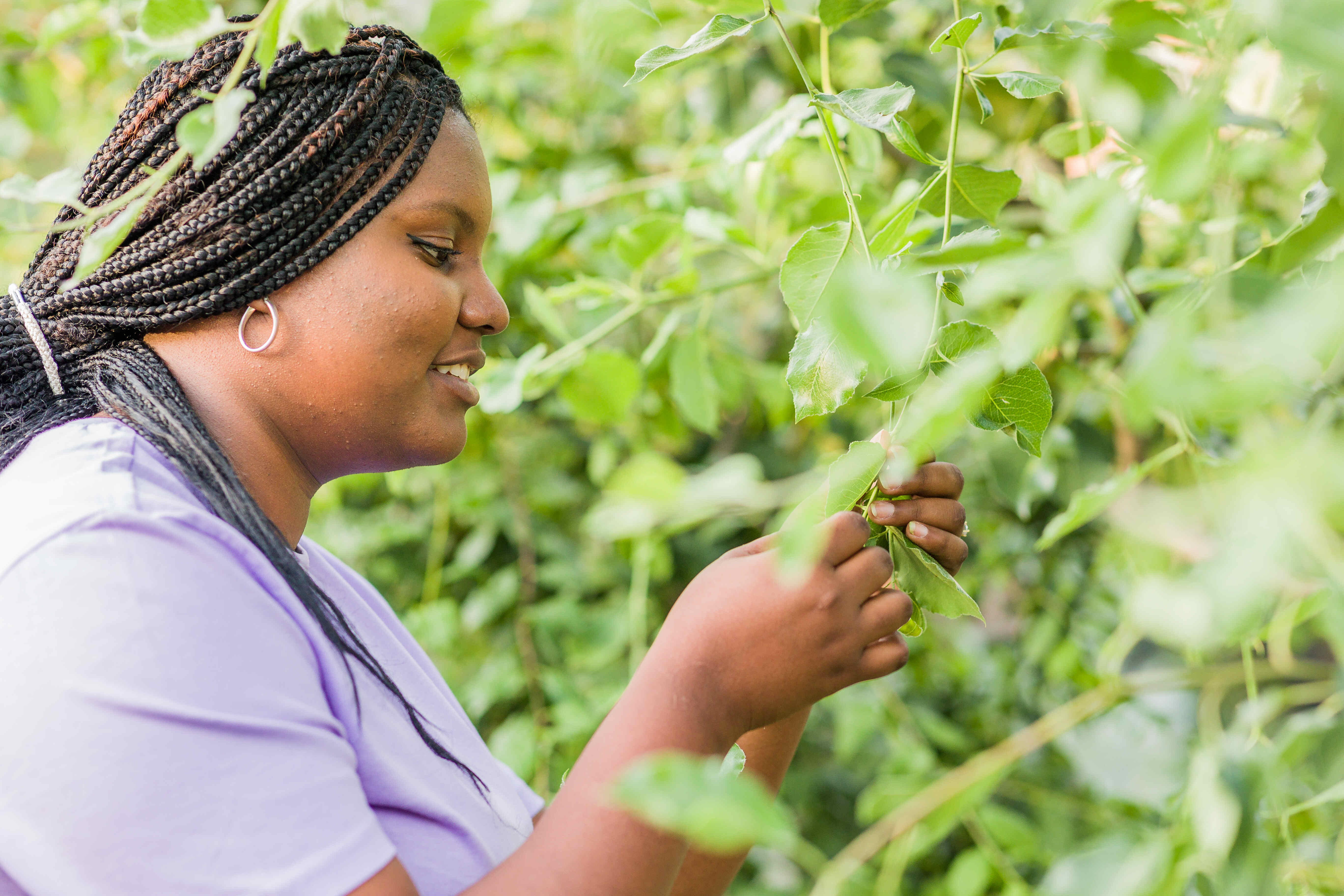 COURSE SPOTLIGHT - Horticulture 1 