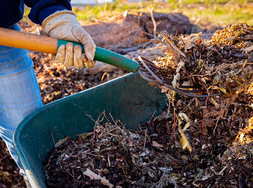 Permaculture IV