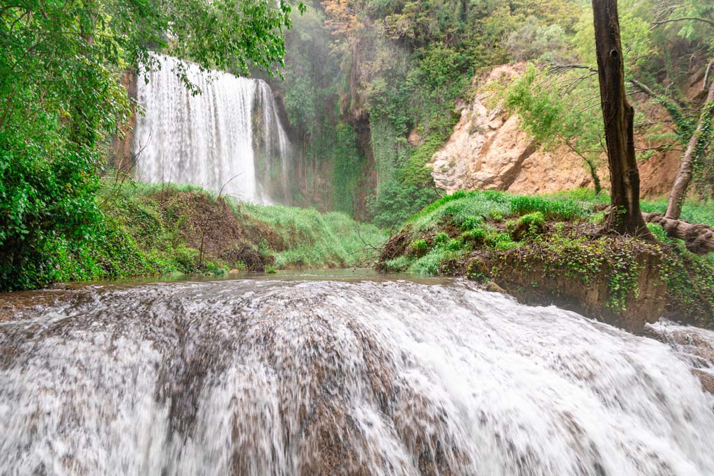 Nature Park Management I