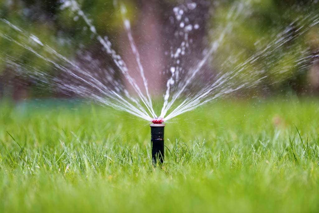 Irrigation (Gardens)