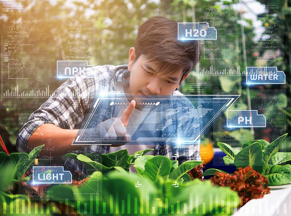 Advanced Certificate In Applied Management (Horticultural Technology)