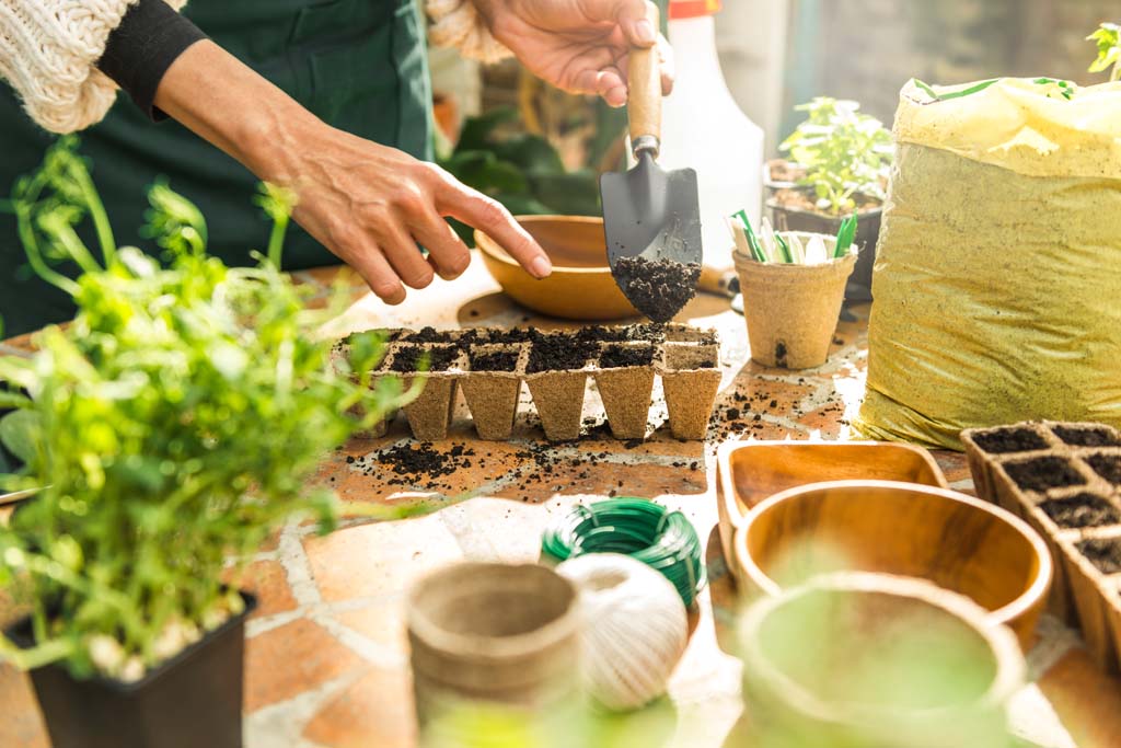 Certificate In Horticulture (Propagation)