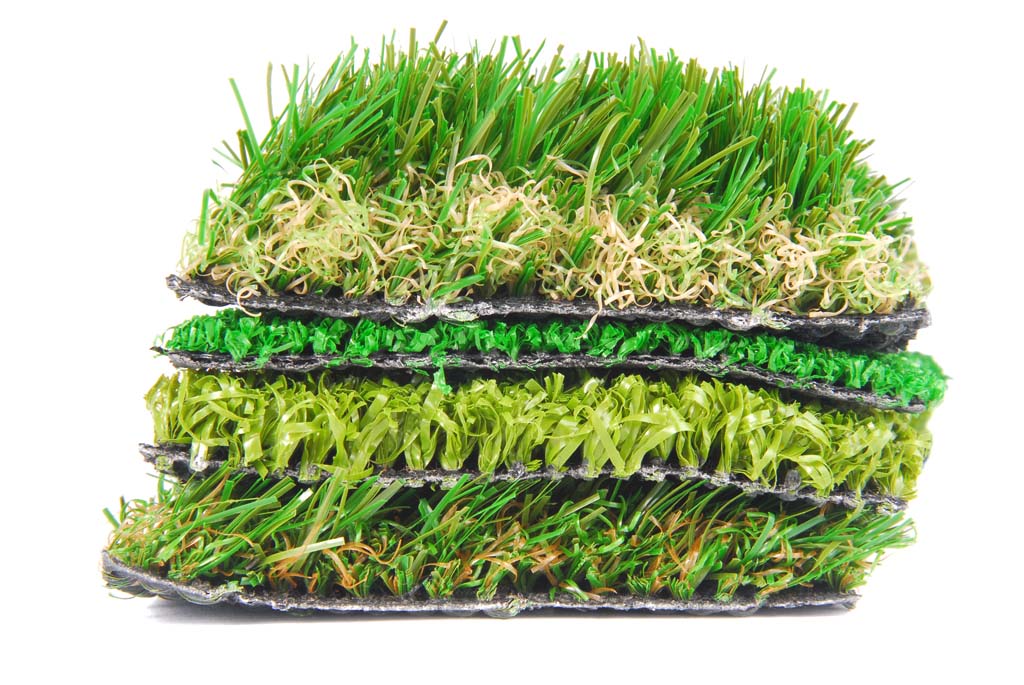 Turf Grasses