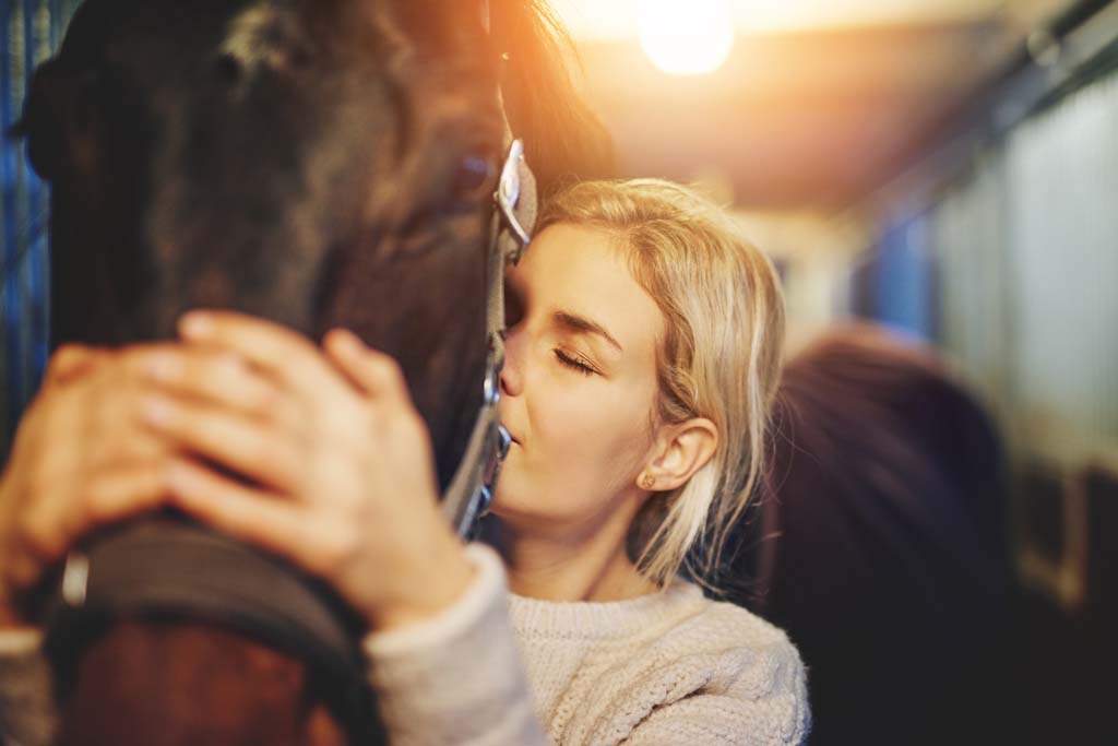 Advanced Certificate in Equine Studies