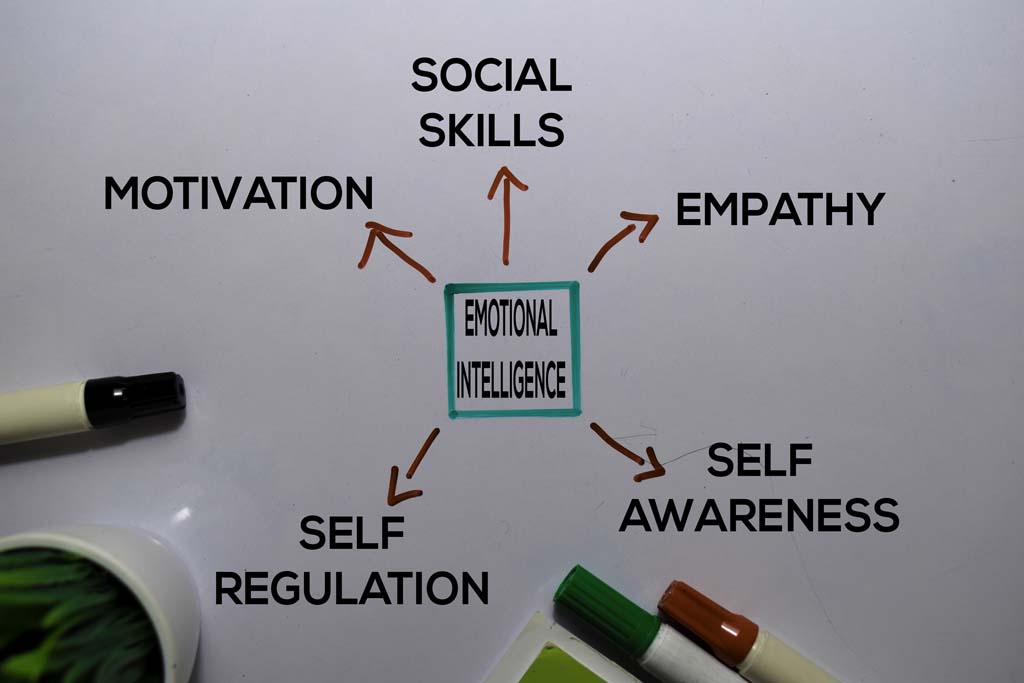 Emotional Intelligence