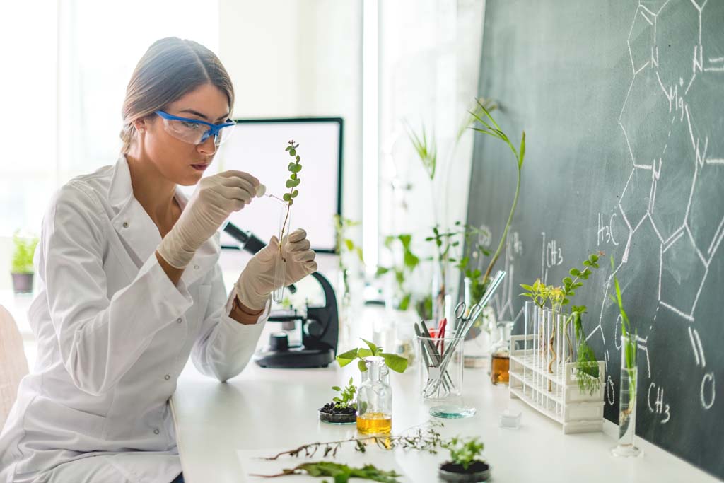 Advanced Certificate in Applied Plant Science