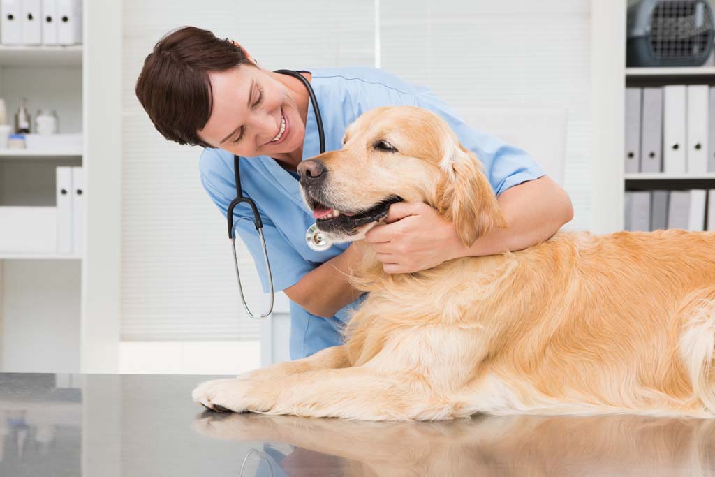 Animal Health Care