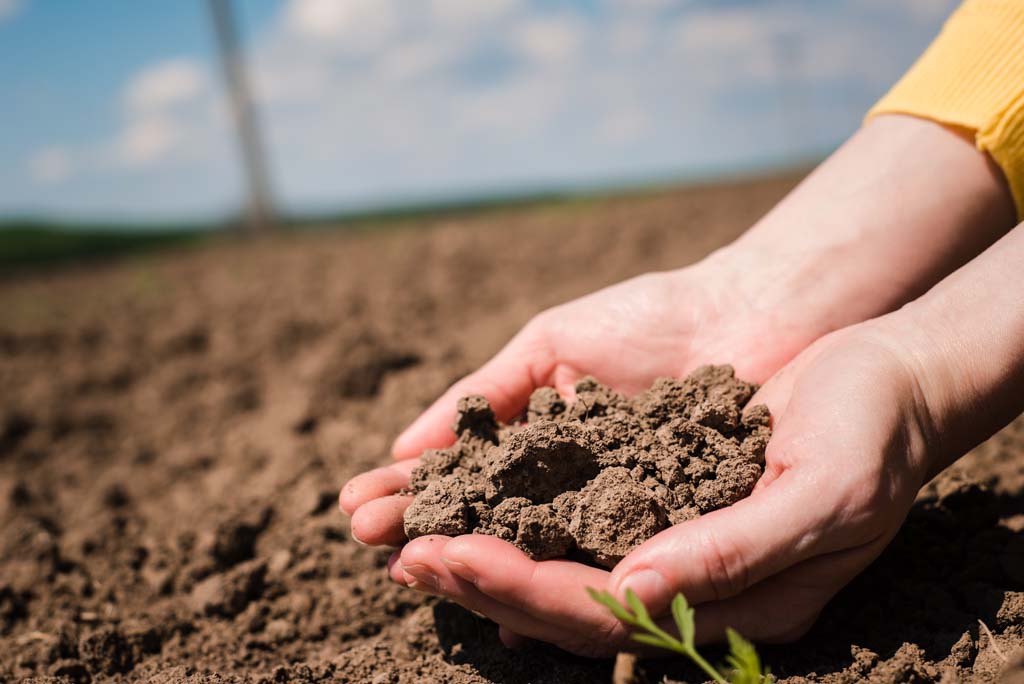 Soil Management (Crops)