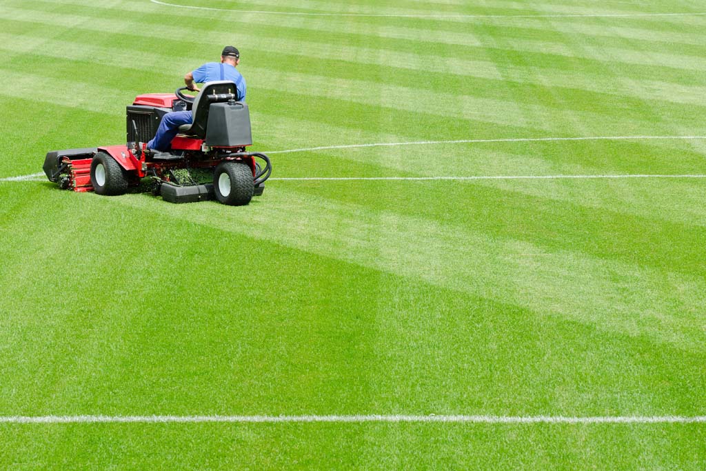 Sports Turf Management