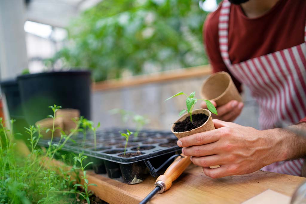 Nursery Growers Course