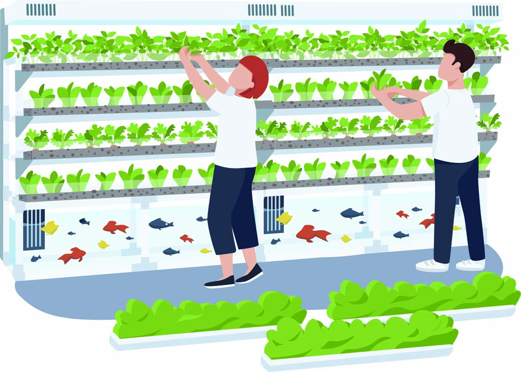 Aquaponic Production