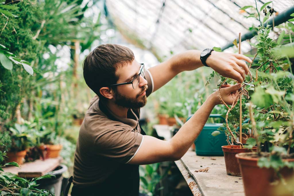 Advanced Certificate in Horticultural Science