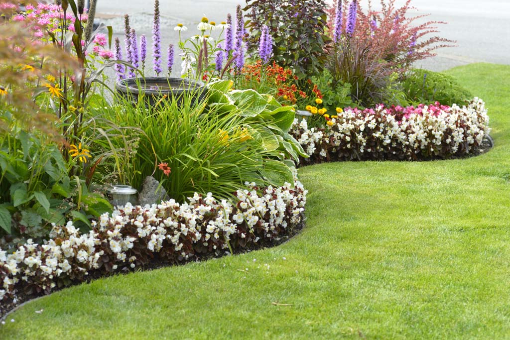 Certificate In Horticulture (Landscaping & Garden Design)