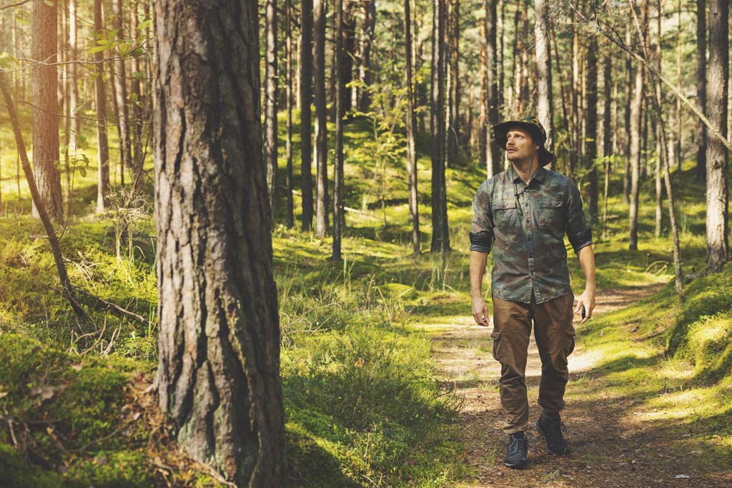 Trees For Rehabilitation (Landcare Reafforestation)