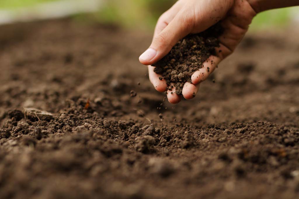 Soil Management (Agriculture)
