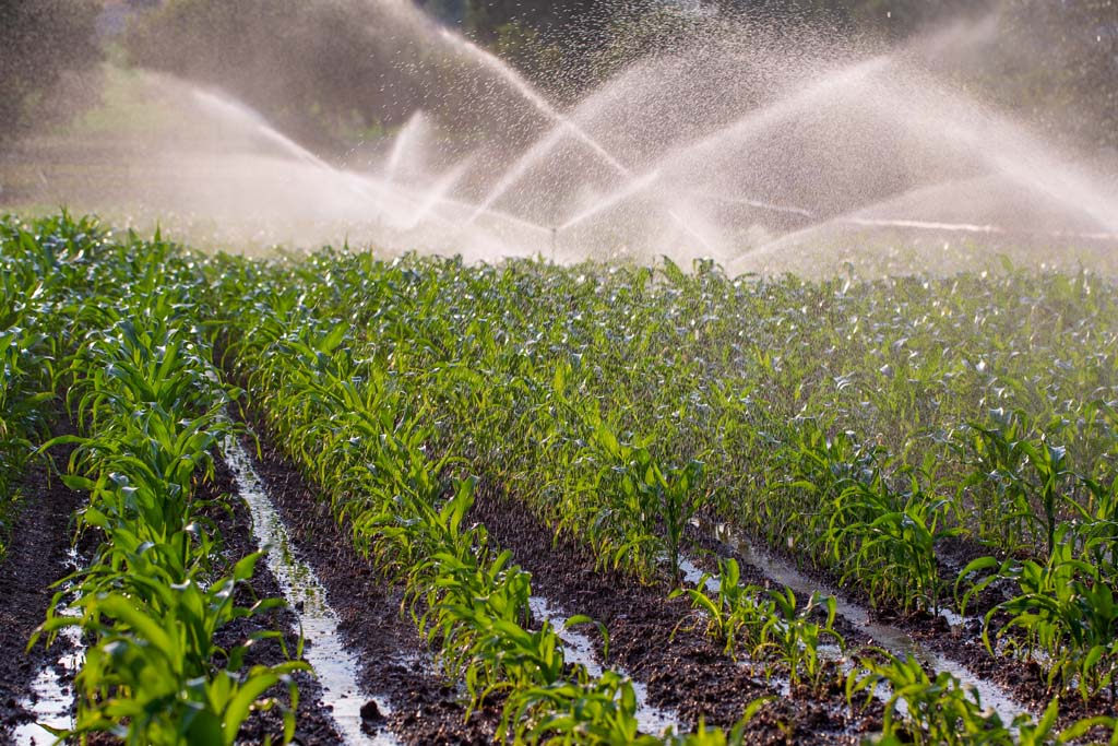 Irrigation -- Agricultural Irrigation