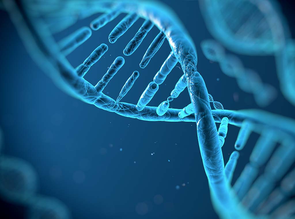 Biochemistry I (Animal and Human)