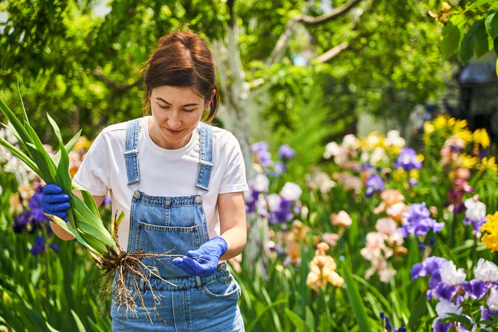 Home Propagation (Beginners)