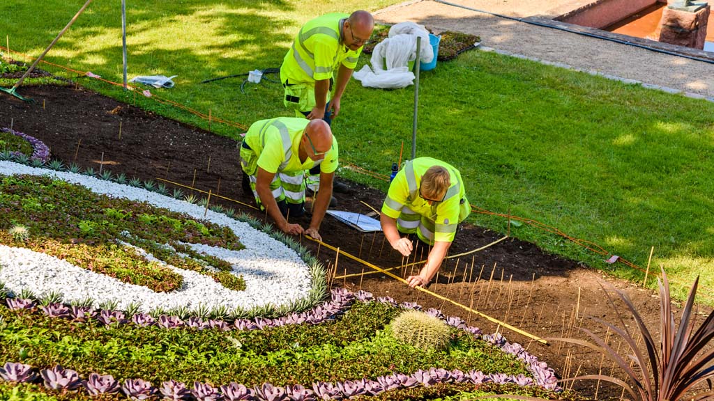 Advanced Certificate in Parks & Gardens Management