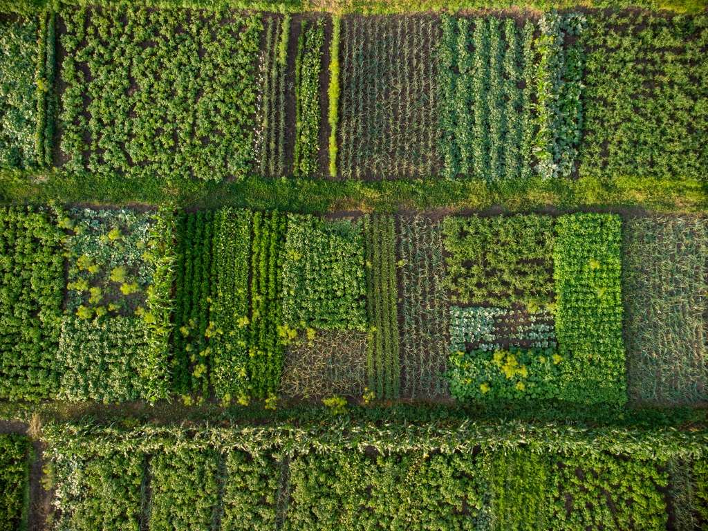 Regenerative Agriculture