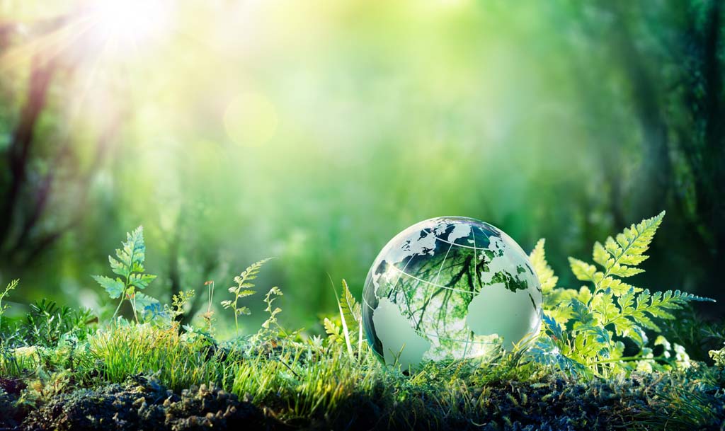 Certificate in Environmental Sustainability