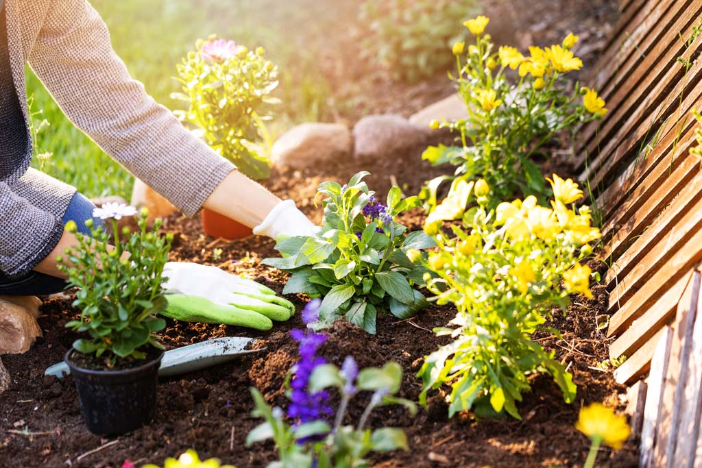 Landscaping Home Gardens