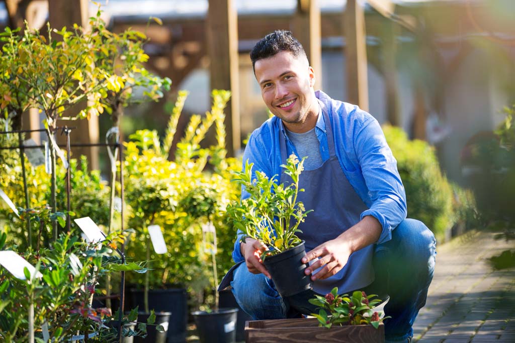 Certificate in Plantsmanship