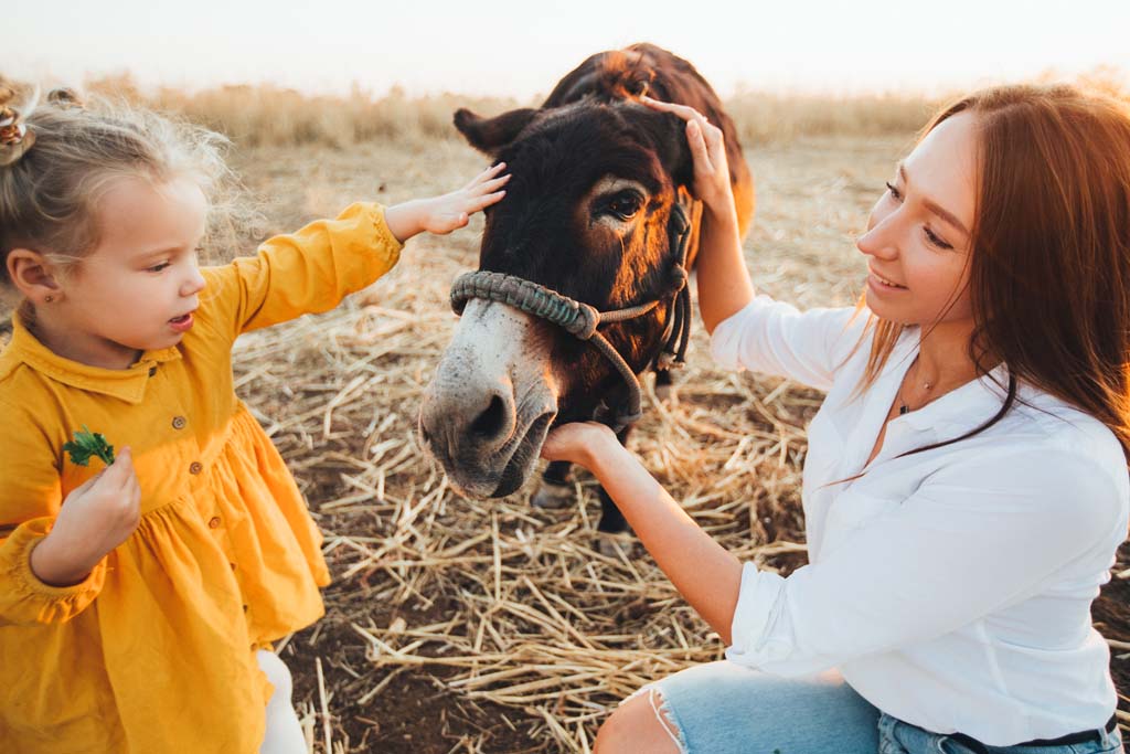 Farm Tourism