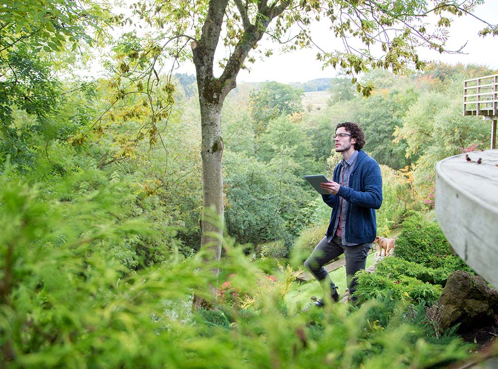 Certificate In Arboriculture