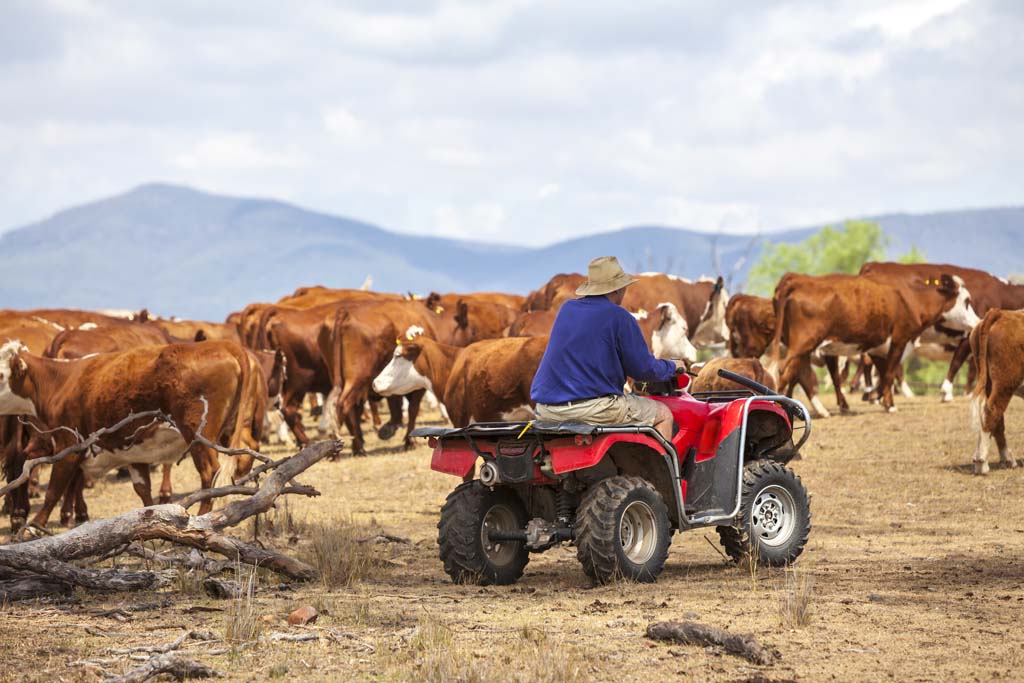 Advanced Certificate in Agribusiness