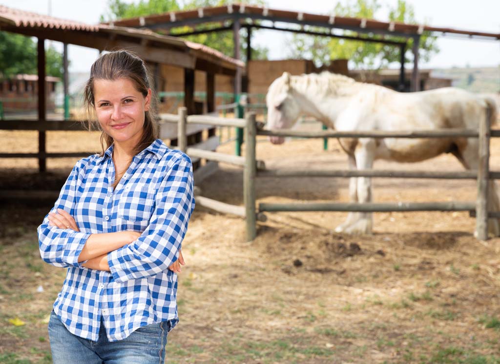 Equine Behaviour 