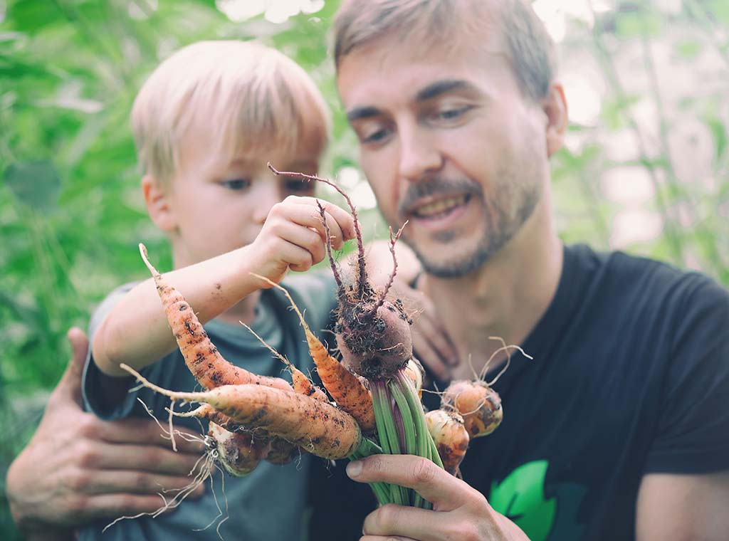 Permaculture II (Plants for Permaculture)