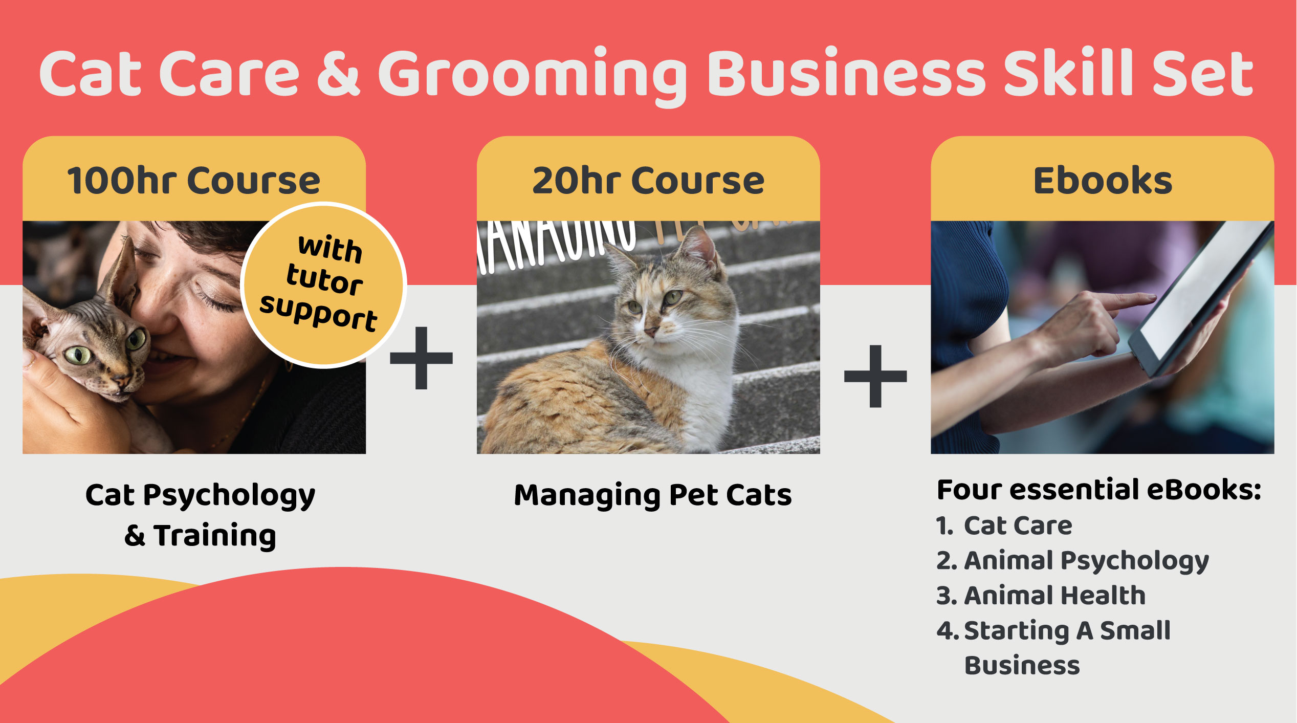 Cat Care & Grooming Business Skill Set