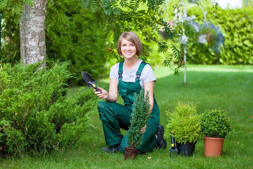 Certificate in Horticulture