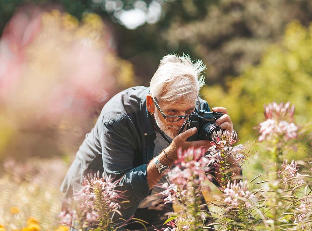 Garden Tourism