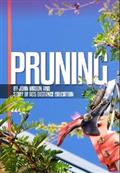 Pruning