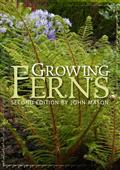Growing Ferns