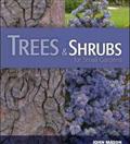 Growing Trees & Shrubs for Small Gardens