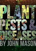 Plant Pests & Diseases