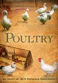 Poultry
