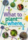 What to Plant Where