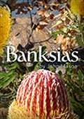 Banksias