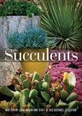 Succulents