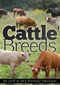 Cattle Breeds