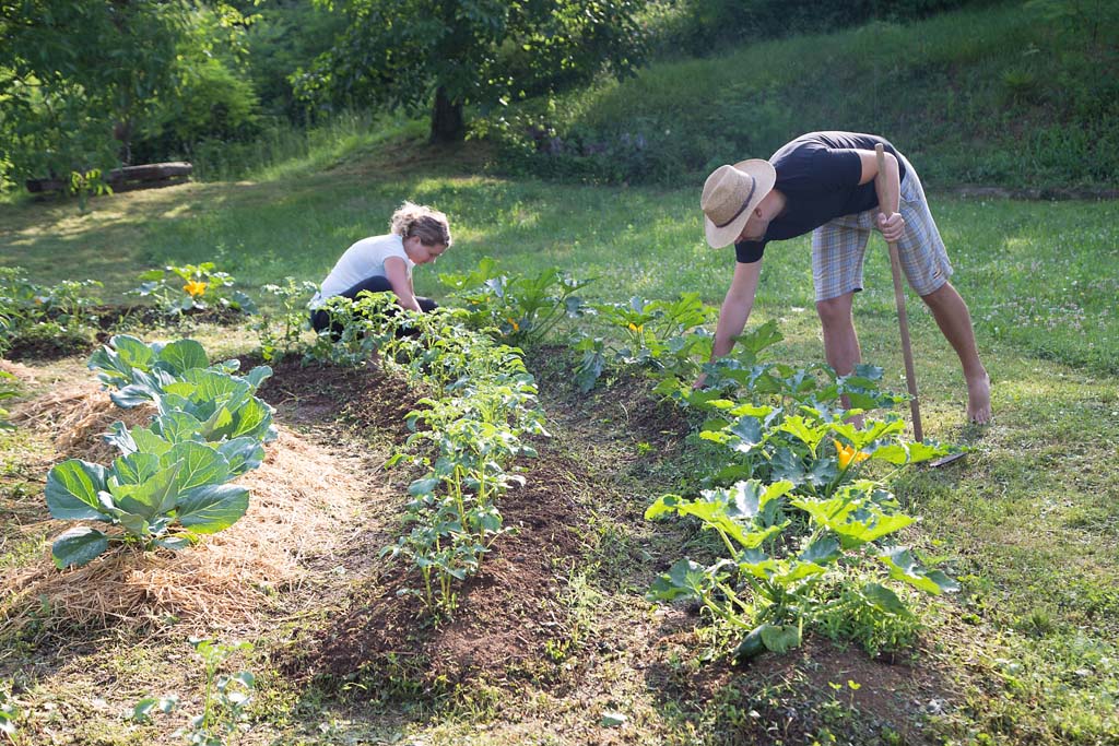 Interested in Sustainability and Saving the World in a Practical Way? Try Permaculture 