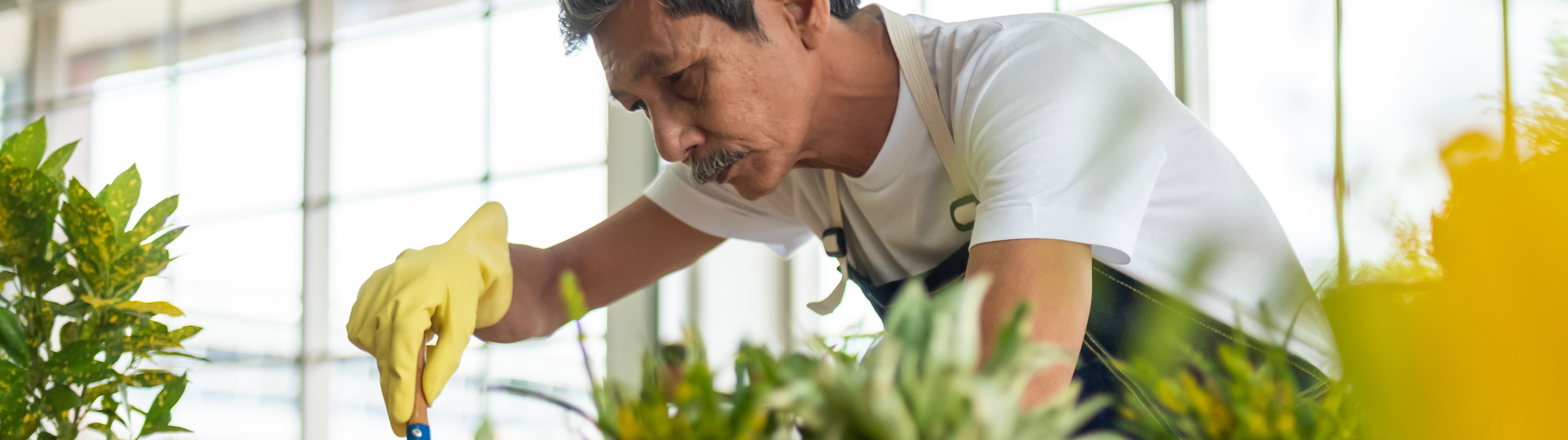 MANAGING PLANT HEALTH WITHOUT CHEMICALS