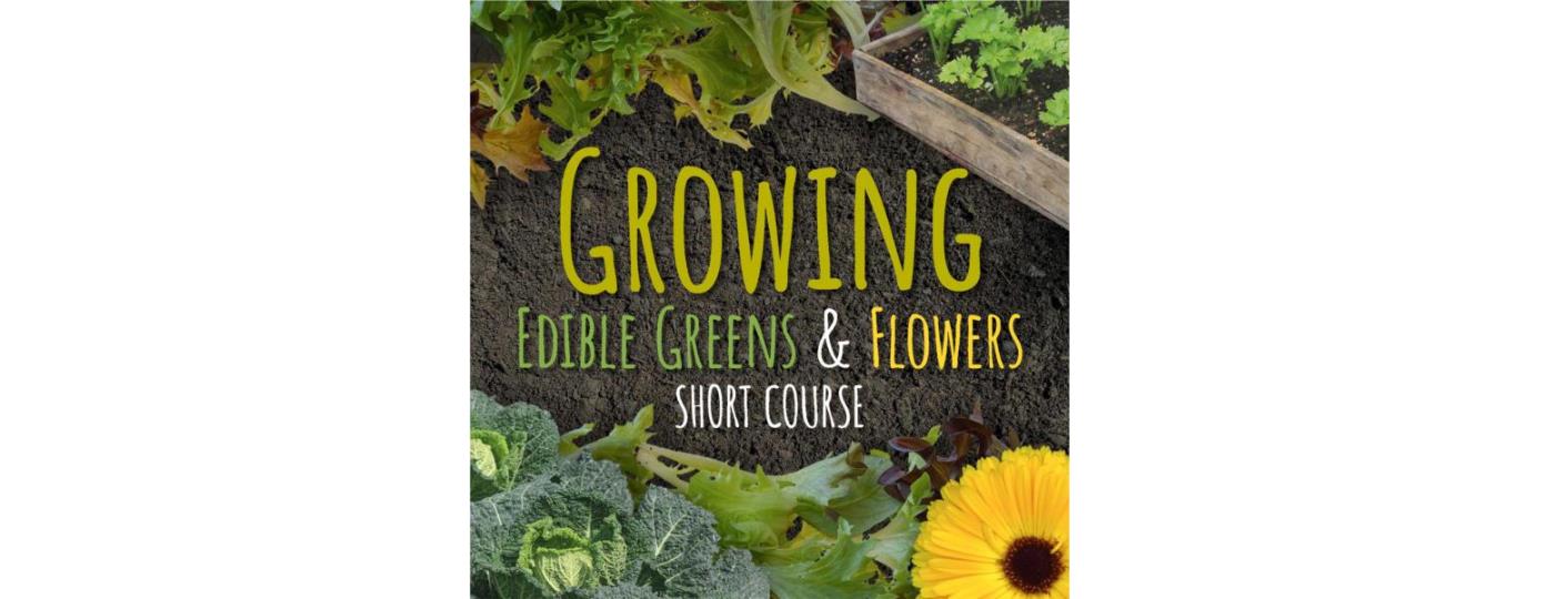 New 20 hour course- Growing Edible Greens & Flowers Short Course